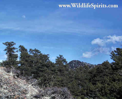 Click Picture to send as an  E-PostCard 24k 500x406